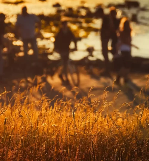 coucher de soleil - promenade en vélo